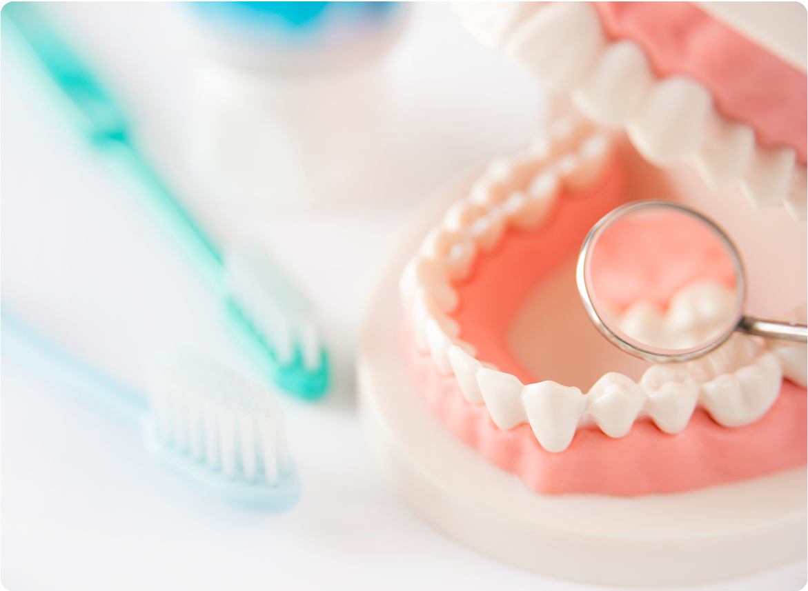 口腔内の健康的なイメージ